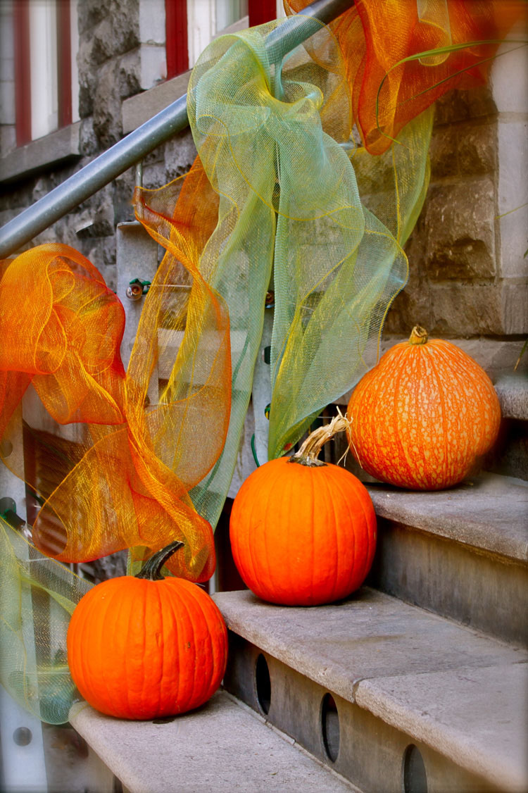 Festive pumpkins